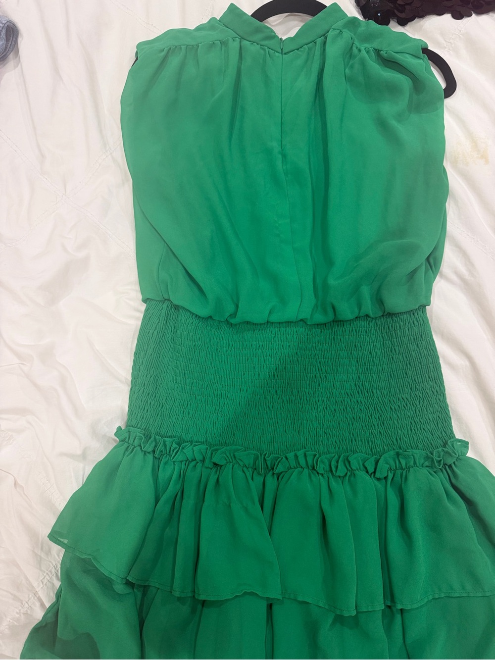 TCEC Green Ruffled Mini Dress - Picture 5 of 5